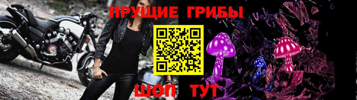 Амурск  Псилоцибиновые грибы мицелий  Вход с VPN  Псилоцибиновые грибы прущие грибы 